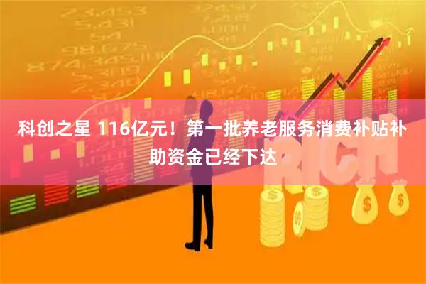 科创之星 116亿元！第一批养老服务消费补贴补助资金已经下达