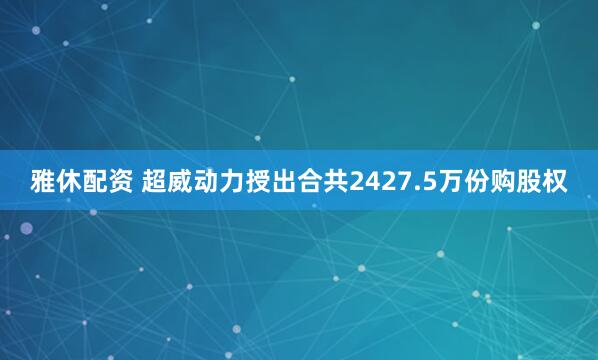 雅休配资 超威动力授出合共2427.5万份购股权
